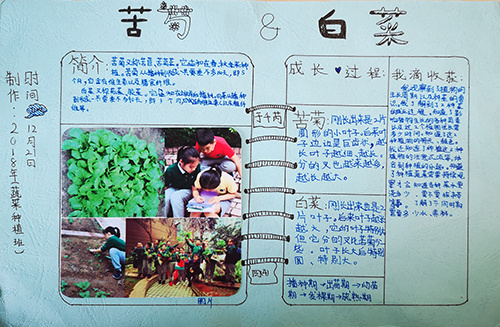 fc943139-0f46-4aee-a914-9c8af868beff.jpg