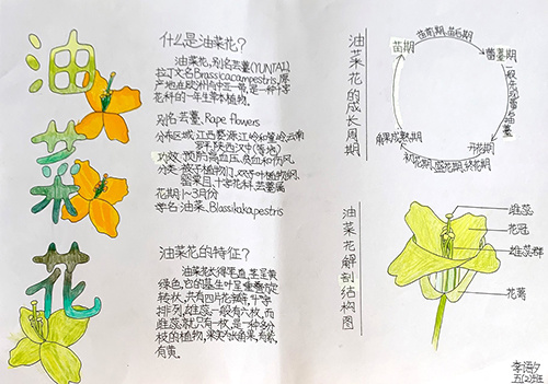 a9f1fe29-4231-489c-a760-5da63d7b7632.jpg