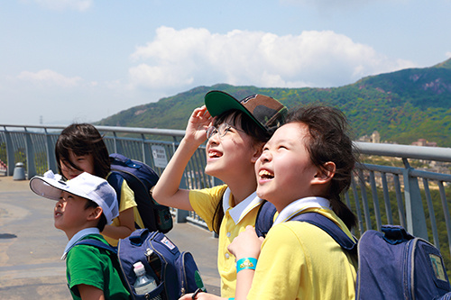 5d355bdc-c283-4021-98e8-454be24d0eec.jpg