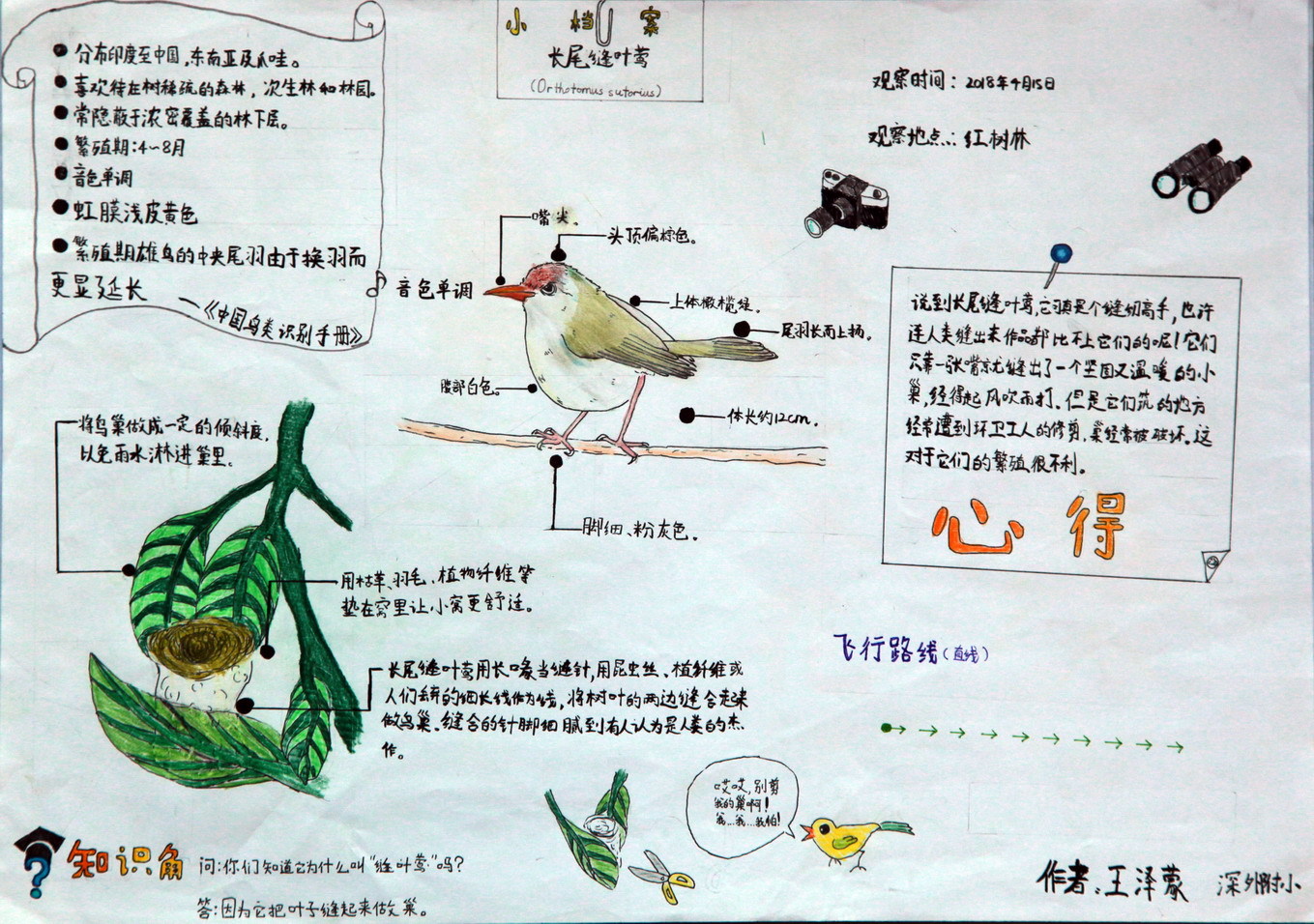 635c9a4a-b535-43d0-a430-47660da95b28.jpg